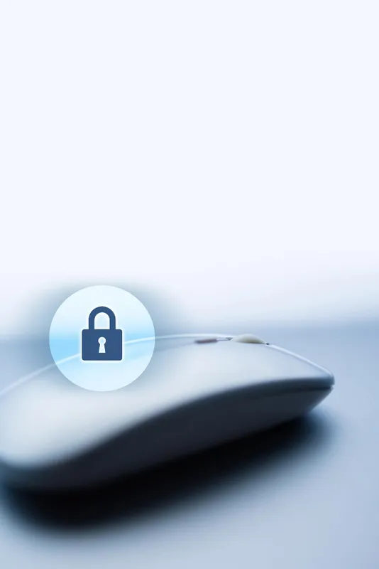 Data protection consulting